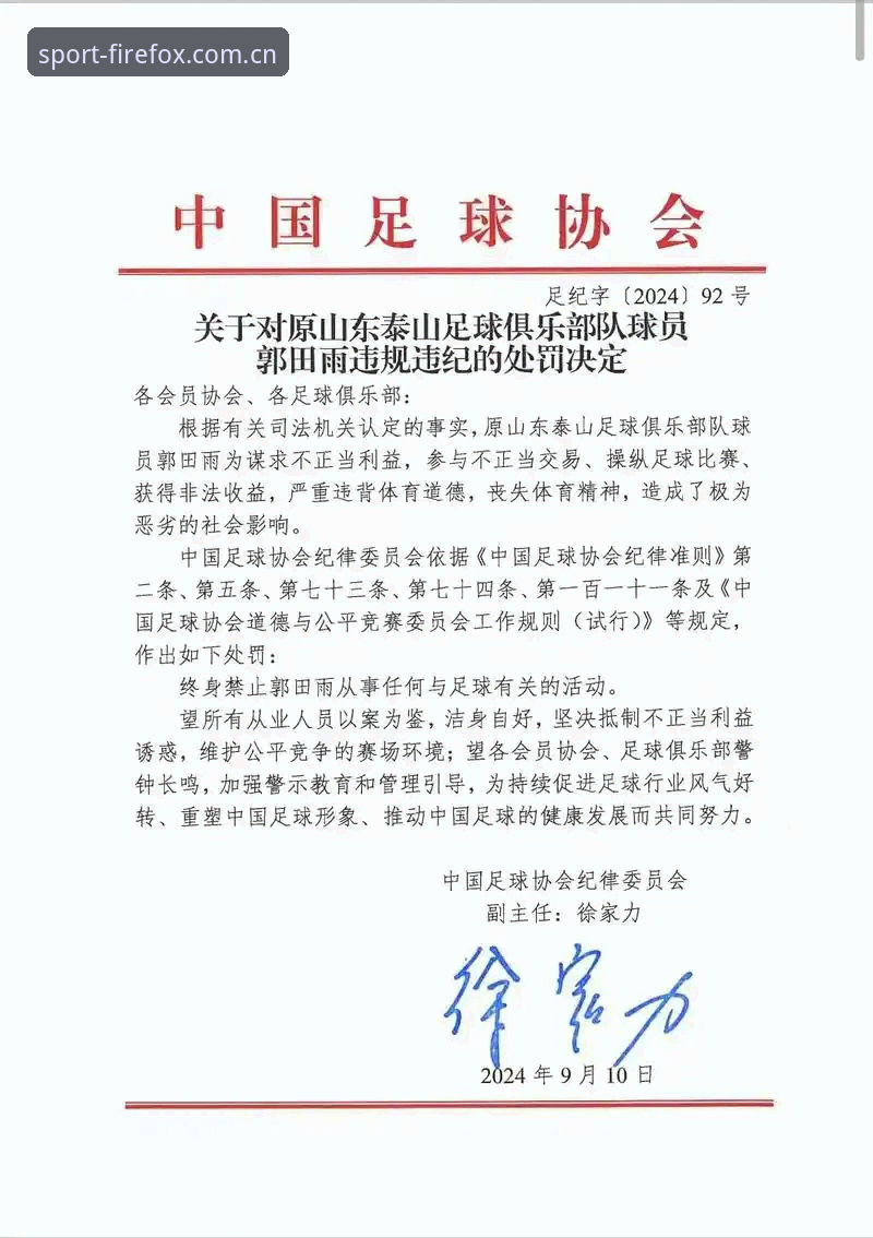 中国足协第三批禁足名单重磅出炉，丁勇等17人终身禁足，火狐体育平台热议处罚力度